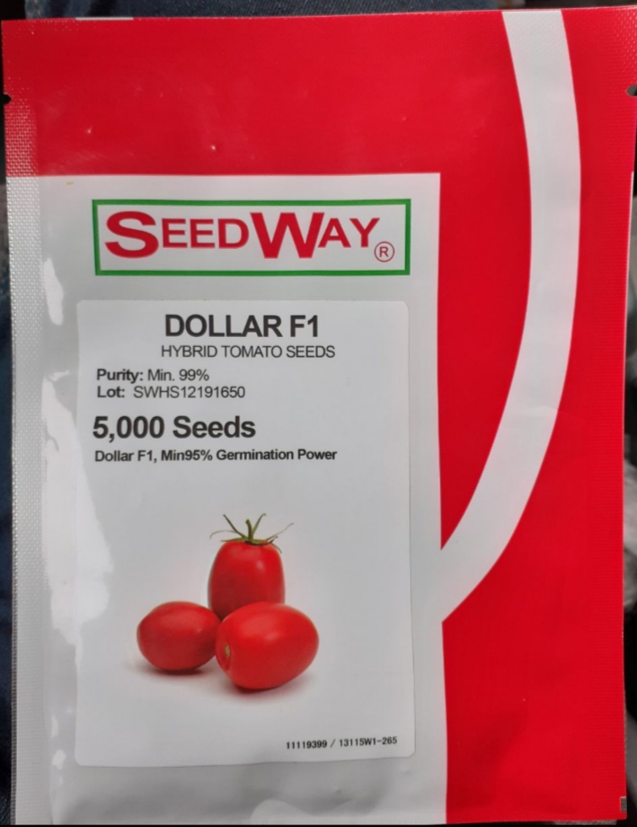 بذر گوجه دلار
