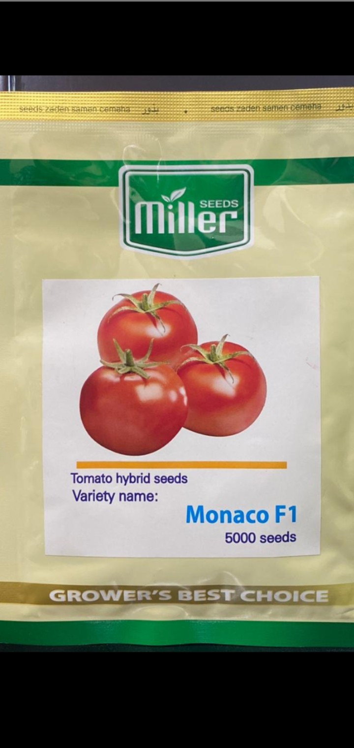 بذر گوجه فرنگی موناکو هیبرید