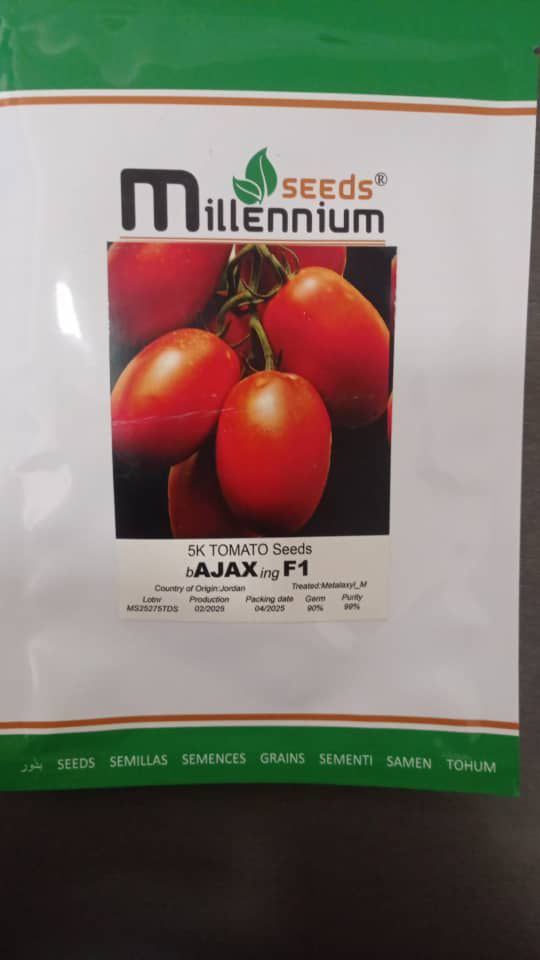 بذر گوجه آژاکس