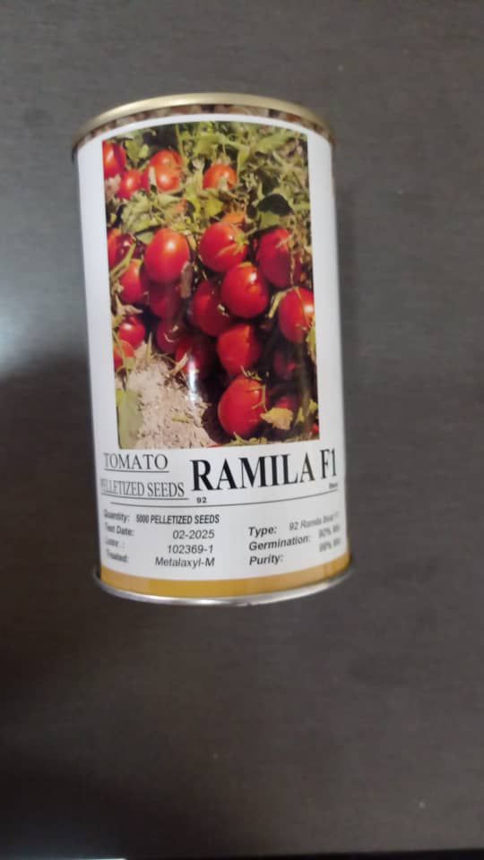 بذر گوجه رامیلا