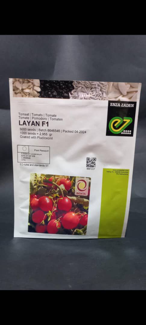 بذر گوجه لایان