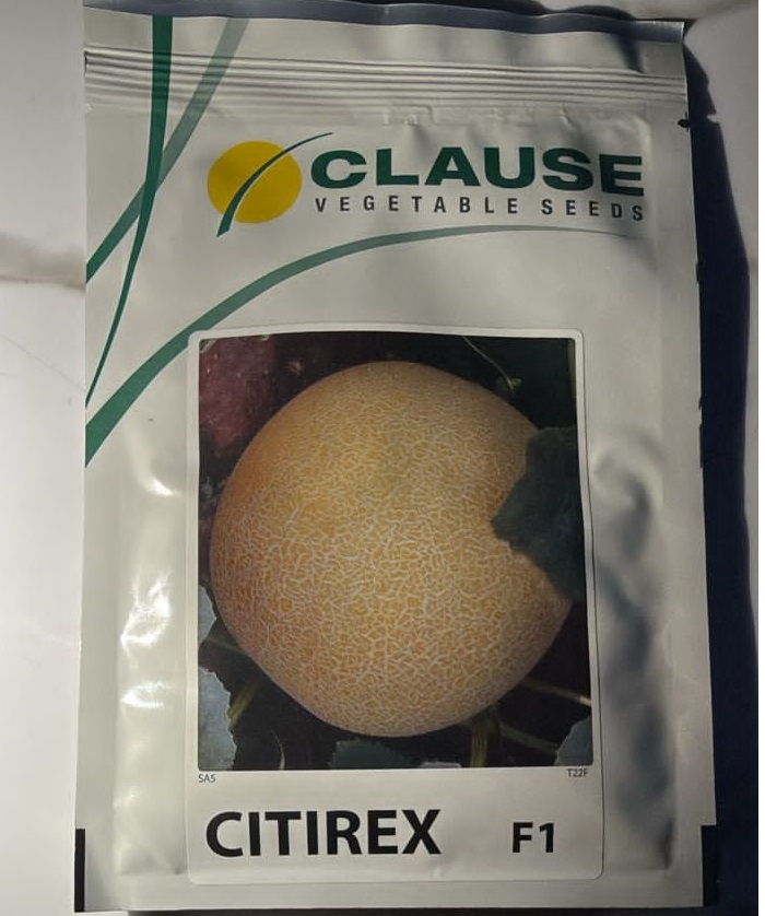 ملون سیتریکس