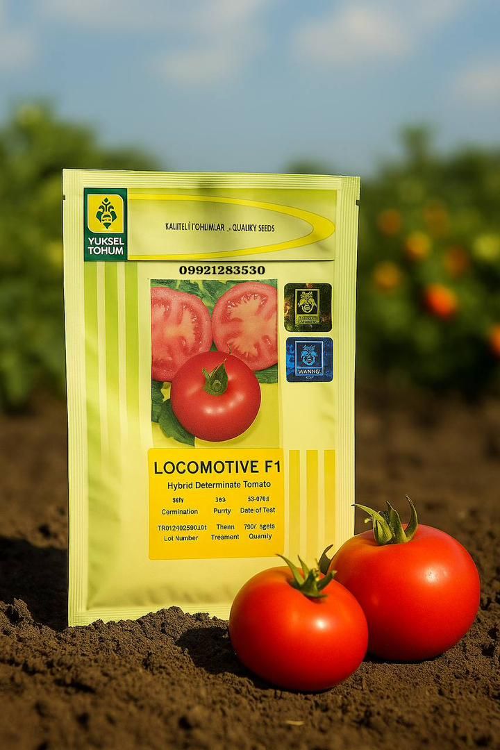 بذر گوجه فرنگی لوکوموتیو F1
