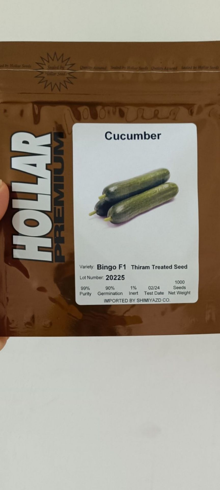 بذر خیار هولار بینگو