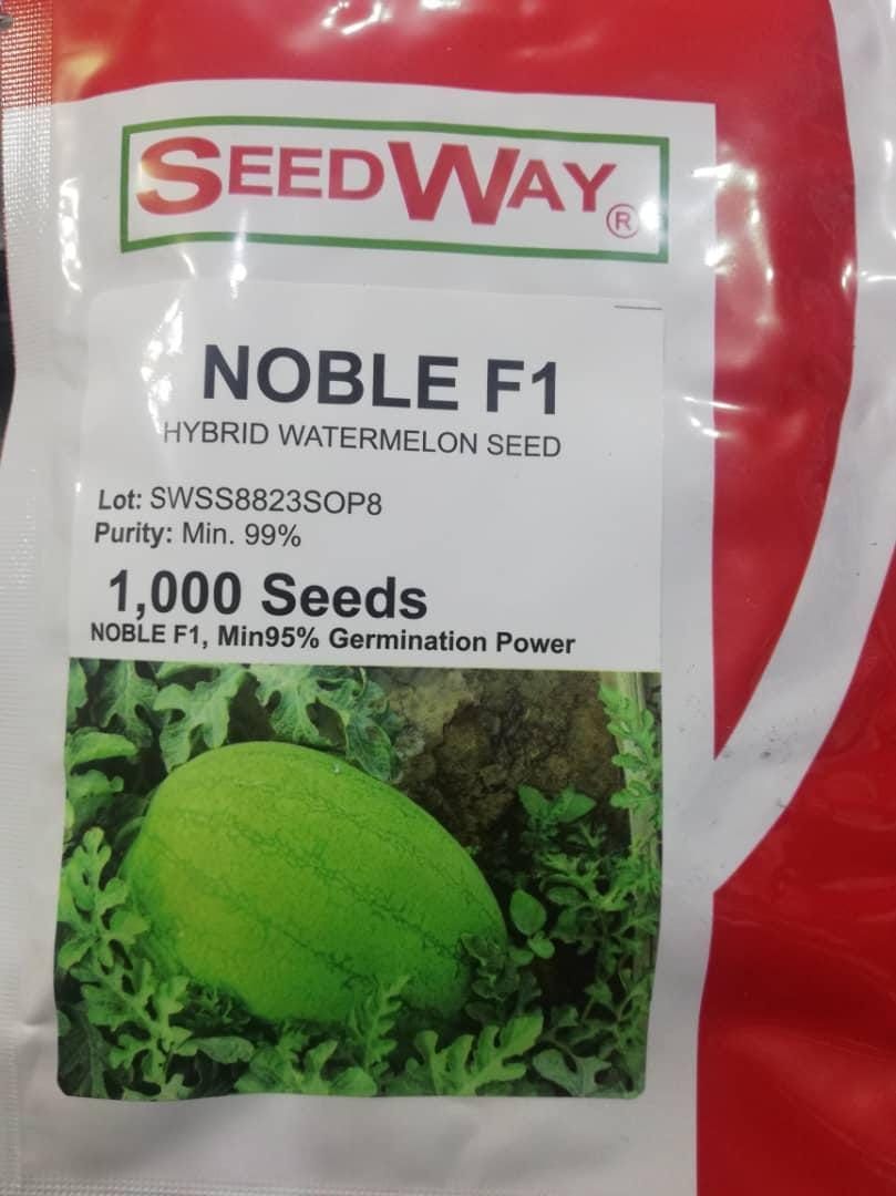 بذر هندوانه نوبل