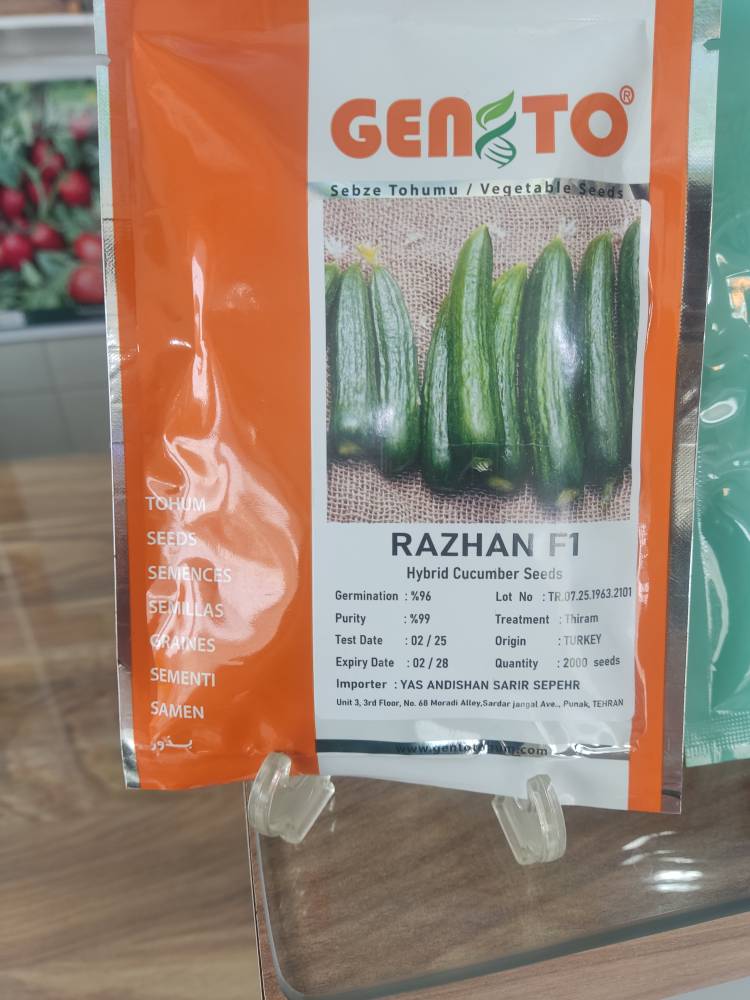 بذر خیار راژان