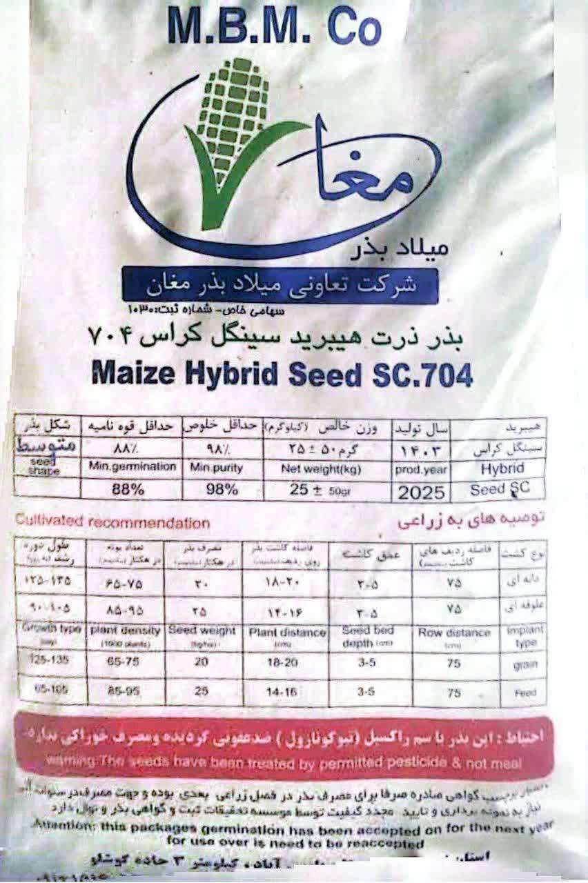 بذر ذرت هیبرید سینگل کراس 704مغان