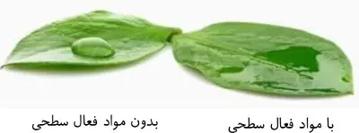 مبانی تغذیه برگی