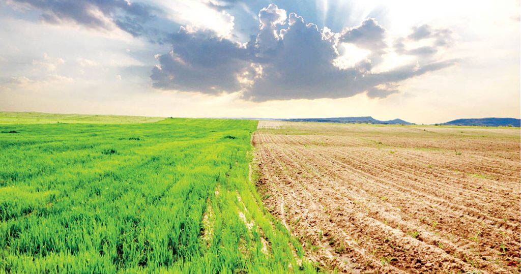 اکوسیستم های کشاورزی