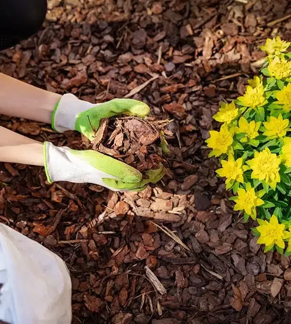 خصوصیات مالچ های مصنوعی